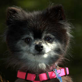 Tammy Faye