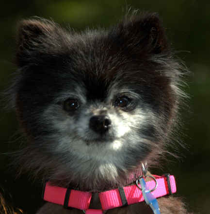 Tammy Faye