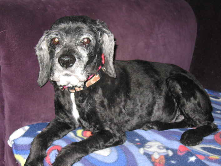 Miss Sally