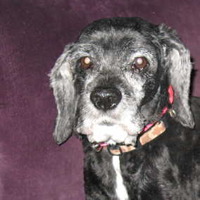 Miss Sally