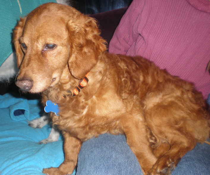 Rusty 2
