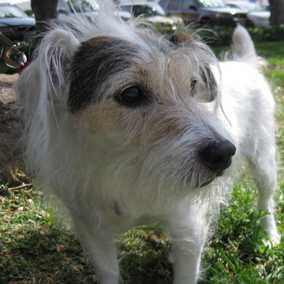 Cody 2