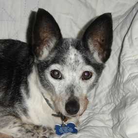 Molly 2