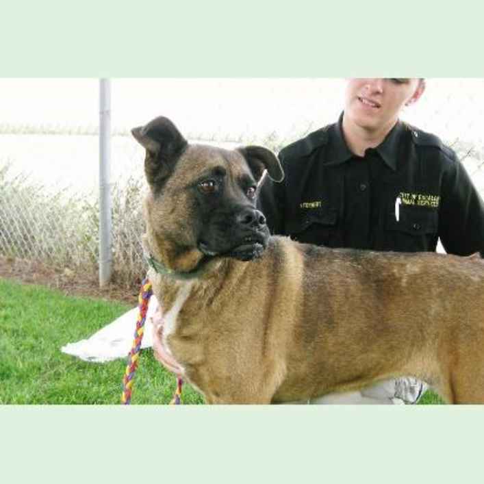 Nikki 2