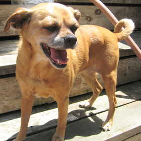 Muggsy