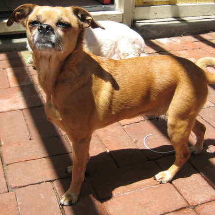 Muggsy