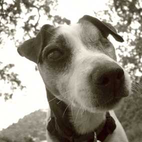 Henry 2