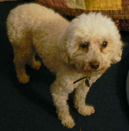 Bernice