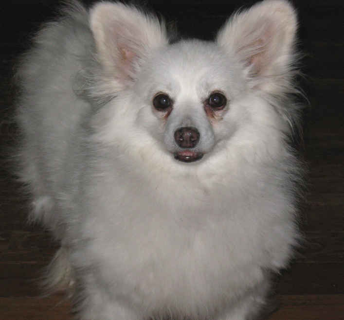 Betty