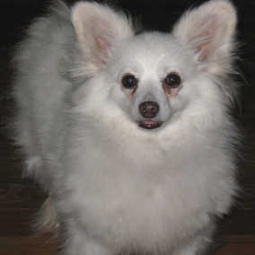 Betty