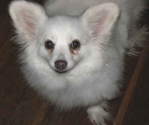 Betty