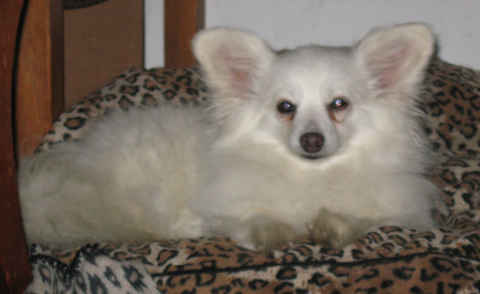 Betty