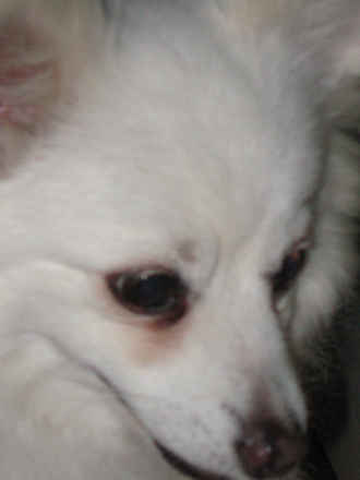 Betty