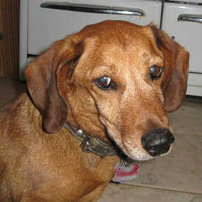 Walter