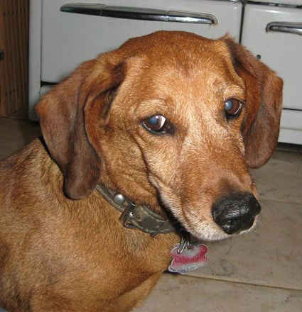 Walter