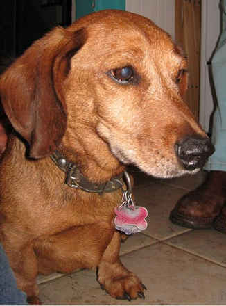Walter