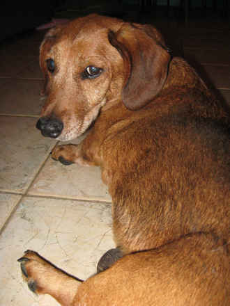 Walter