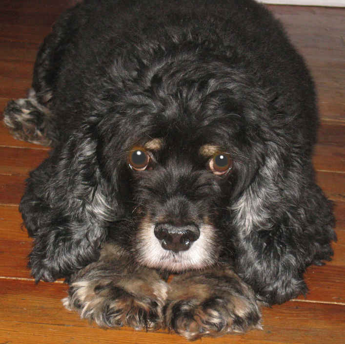 Gladys