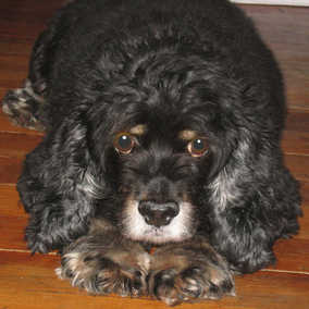 Gladys