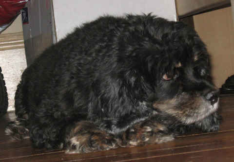 Gladys