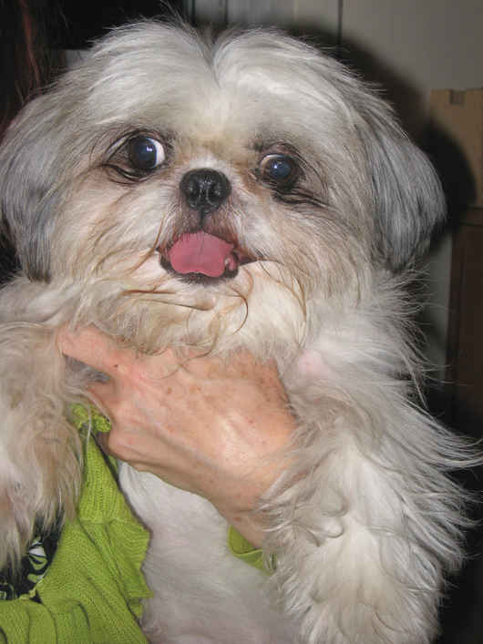 Benny