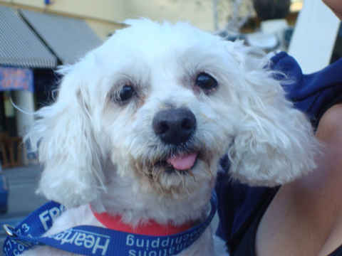 Monty