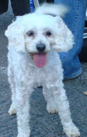 Monty