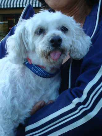 Monty