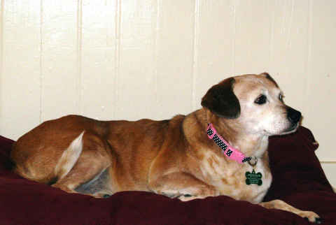 Zoey