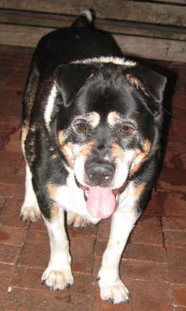 Luther