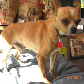 Buster 5