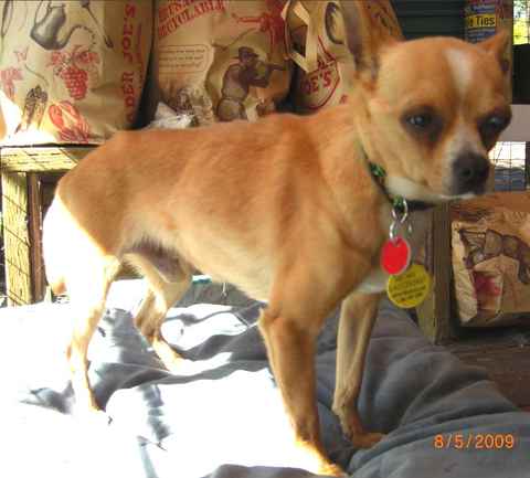 Buster 5