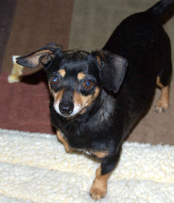 Petey