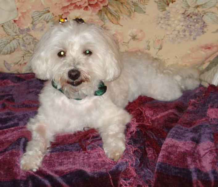 Lucy