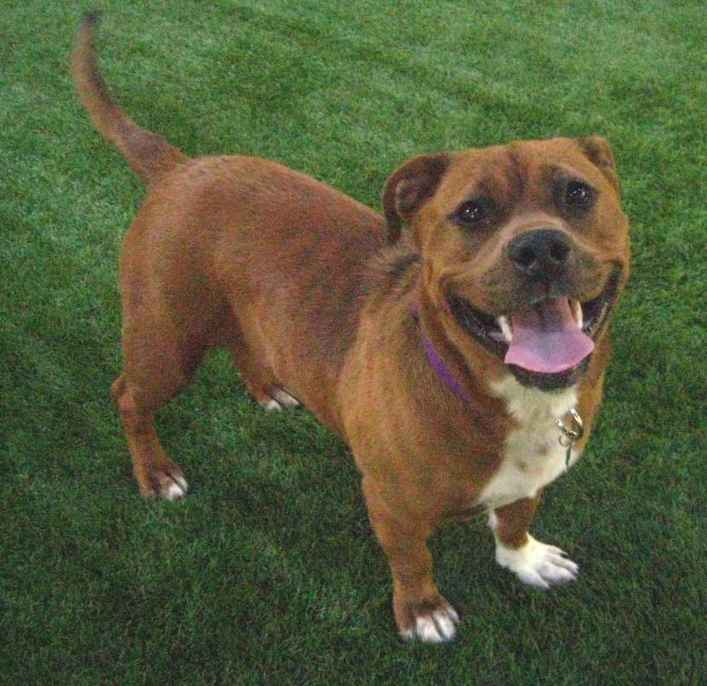 Roxy