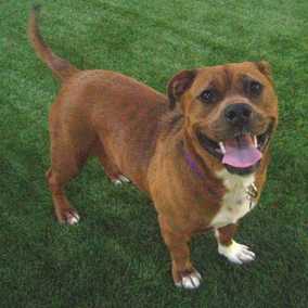 Roxy