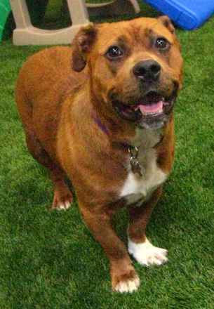 Roxy
