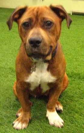 Roxy