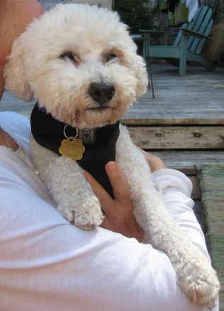 Kody
