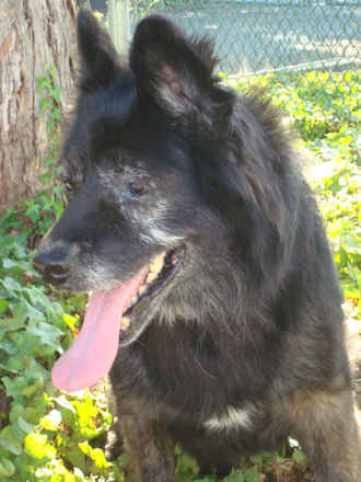 Darby