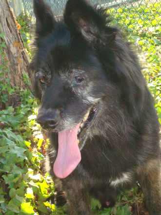 Darby
