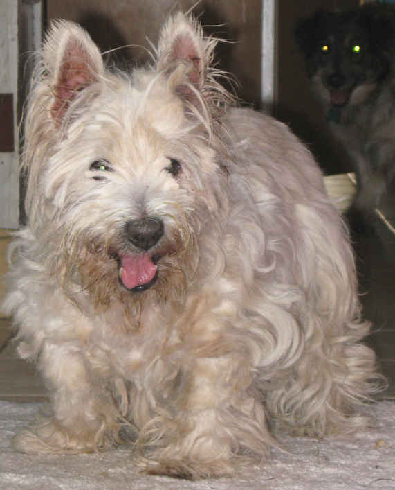 Greta