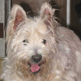 Greta
