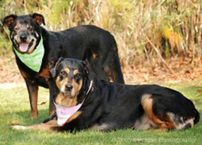 Ellie & Sam