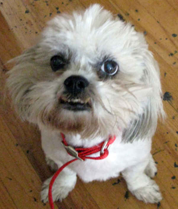 Maddie