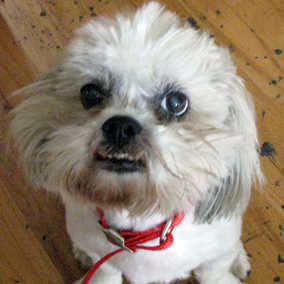 Maddie