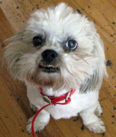 Maddie