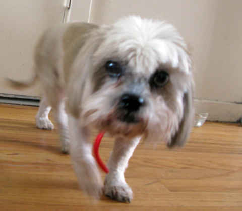 Maddie