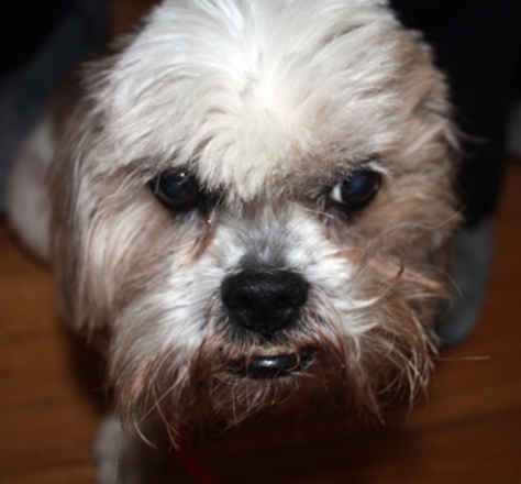 Maddie