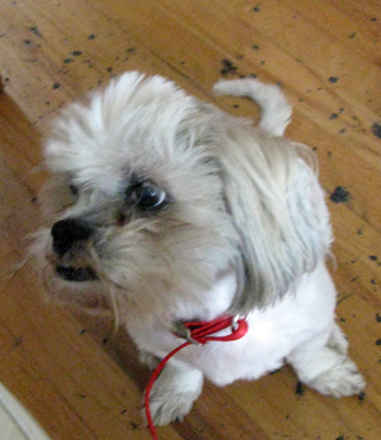 Maddie